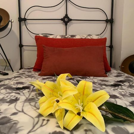 Dream Central Plaza Apartment ซานตาครูซ เด เตเนริเฟ ภายนอก รูปภาพ