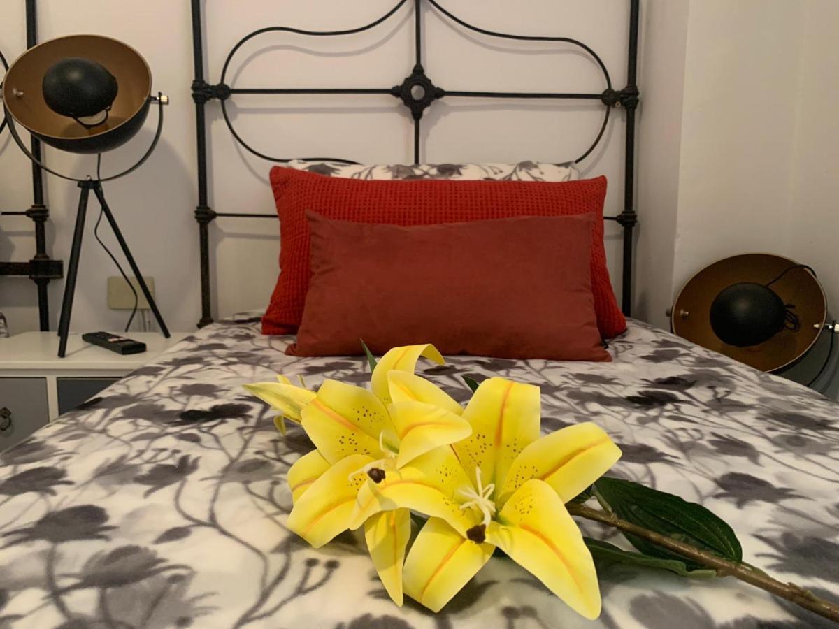 Dream Central Plaza Apartment ซานตาครูซ เด เตเนริเฟ ภายนอก รูปภาพ