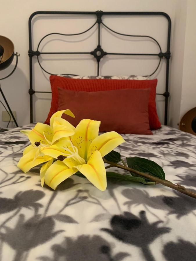 Dream Central Plaza Apartment ซานตาครูซ เด เตเนริเฟ ภายนอก รูปภาพ
